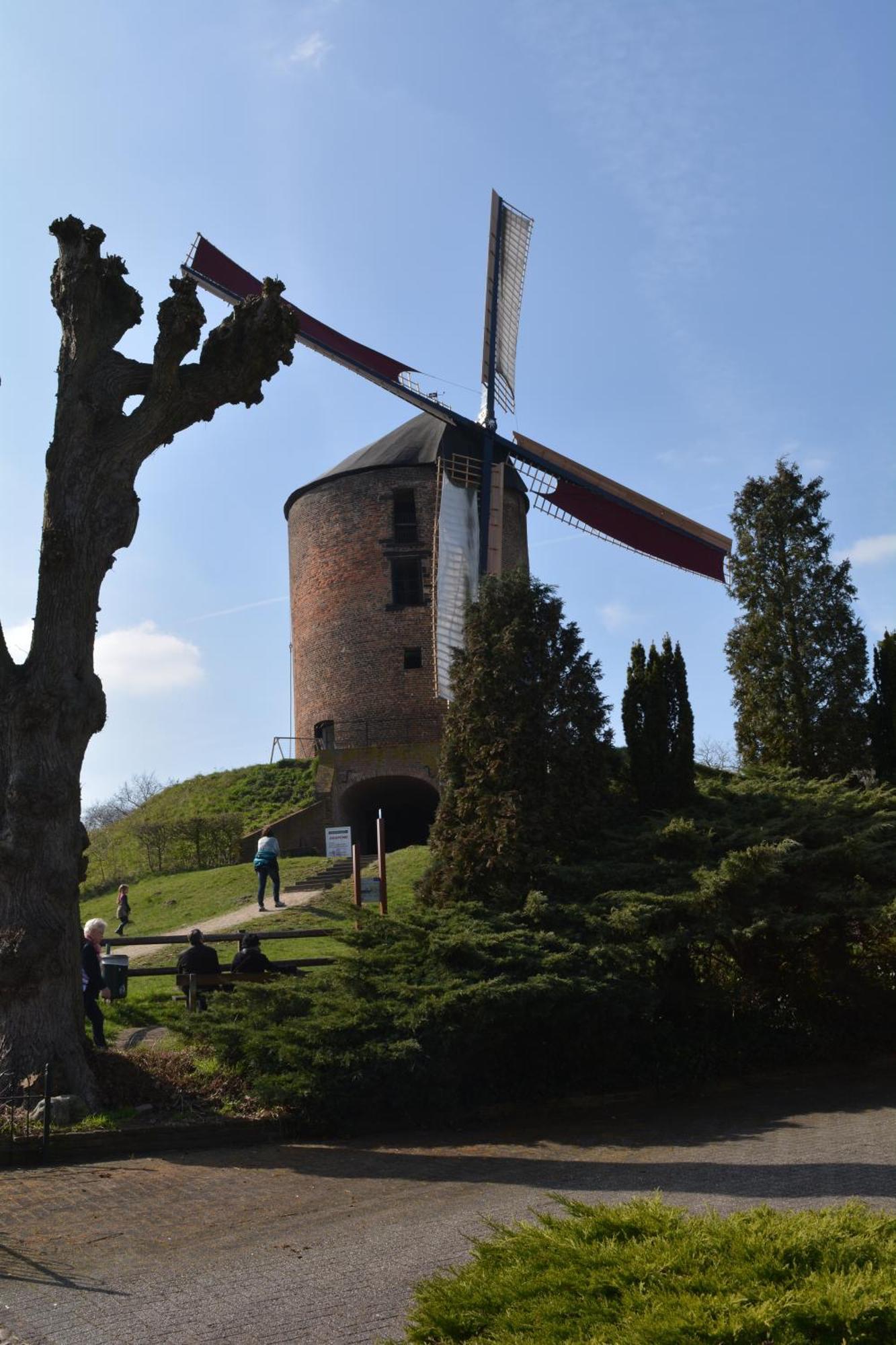 Bed and Breakfast Beekse Brink Loerbeek Exterior foto